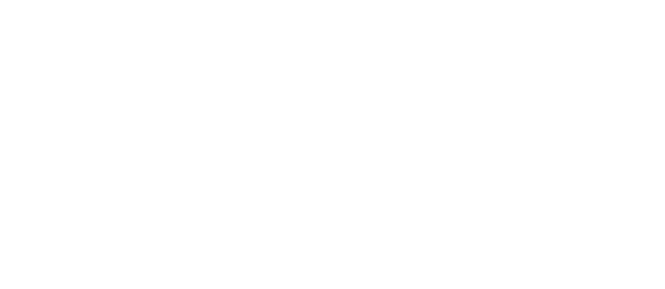 Central Park AI Forum